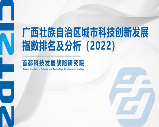 姐弟互操17c【成果发布】广西壮族自治区城市科技创新发展指数排名及分析（2022）